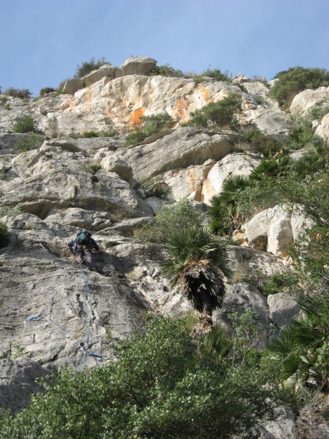 Licheni - Parc Natural del Garraf (Barcelona)